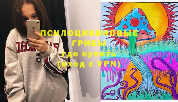 Альфа ПВП Корсаков