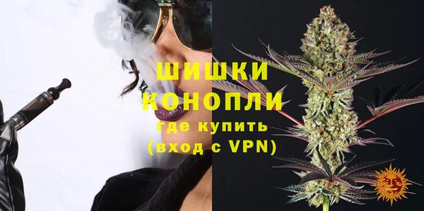 Альфа ПВП Корсаков