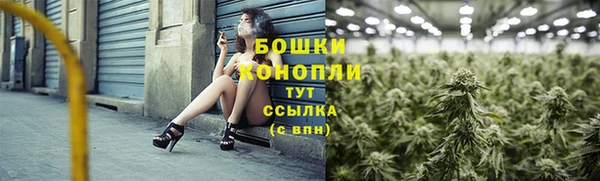 Альфа ПВП Корсаков